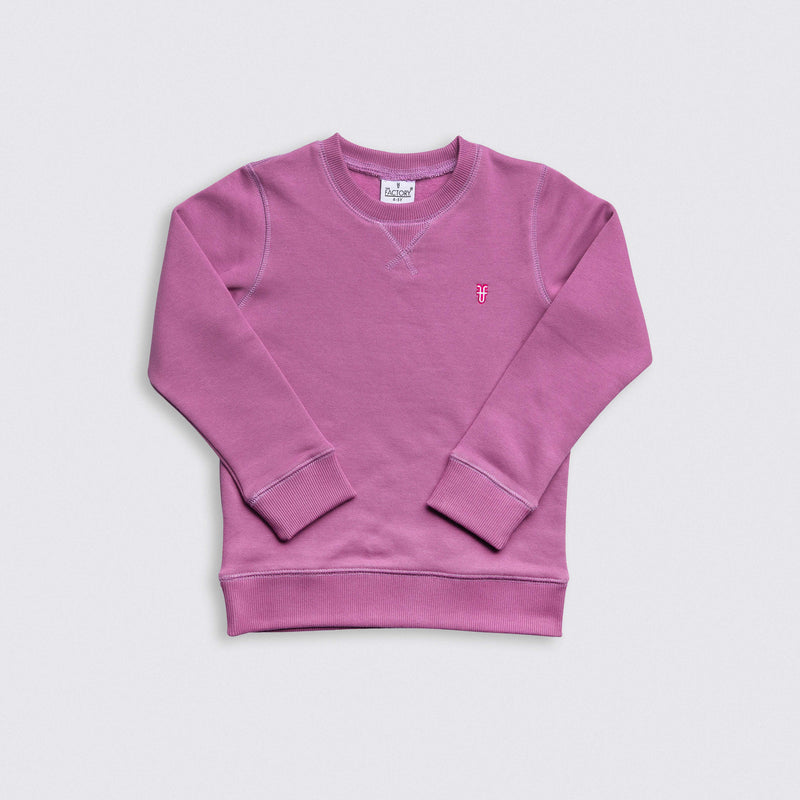 Heavy Brushed Cotton Logo Embroidery Crewneck Sweatshirt